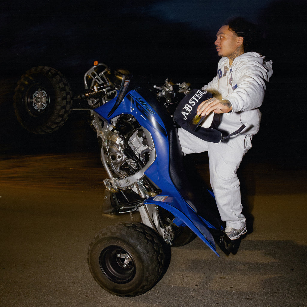 ADSTER DETROIT DOG EAR FITTED HAT